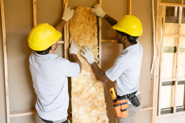 Best Insulation for New Construction  in Buffalo Grove, IL